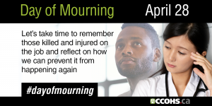 dom_card007